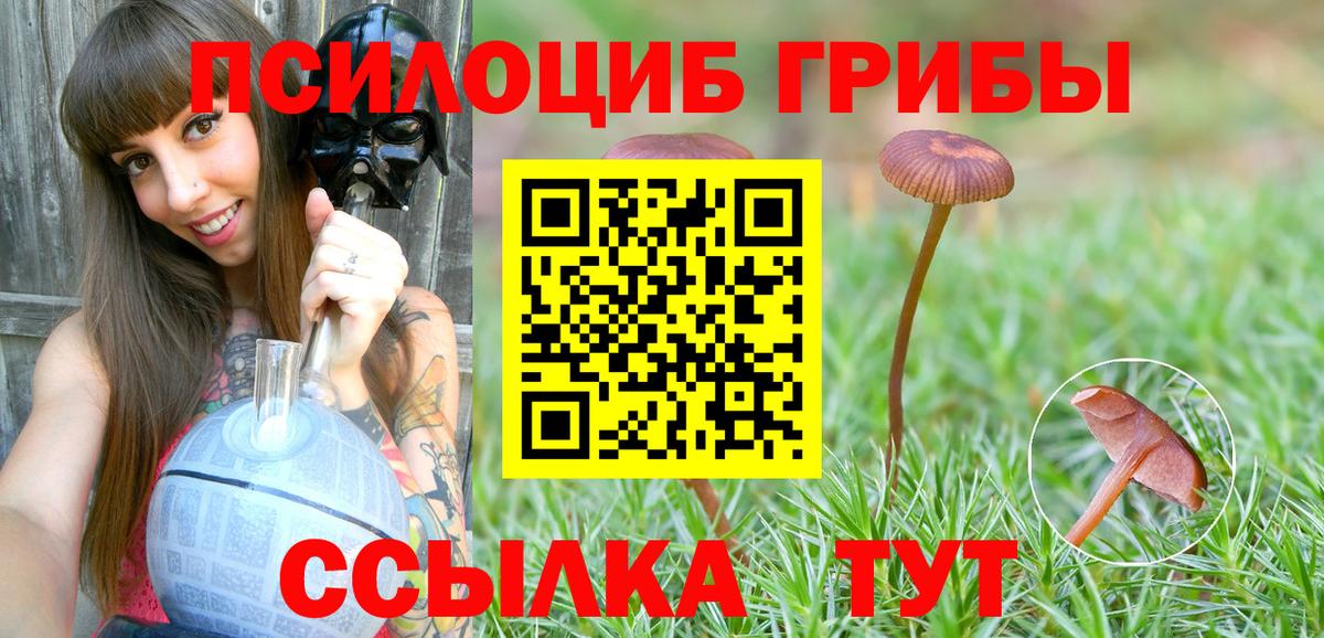 Майский  Галлюциногенные грибы ЛСД  Вход с VPN 