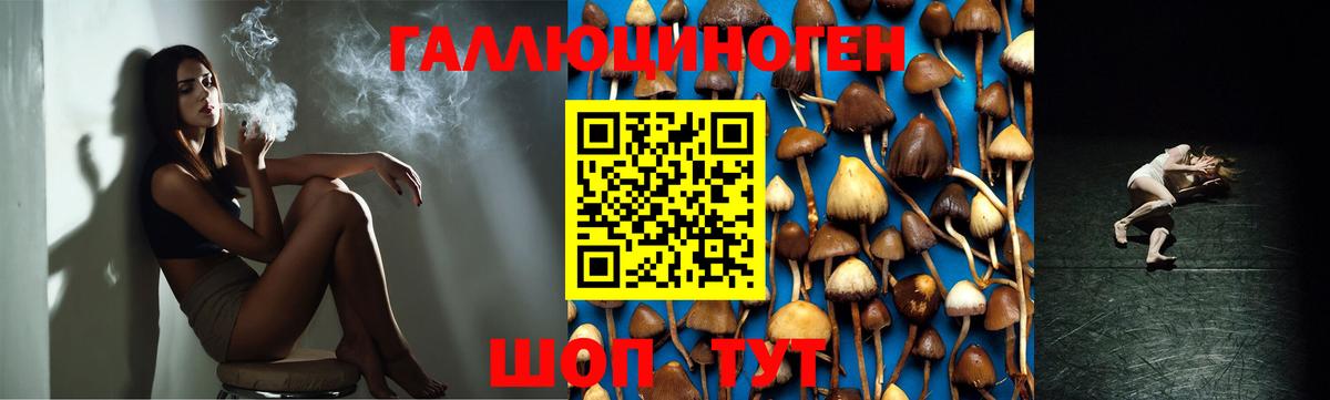 Галлюциногенные грибы ЛСД Майский